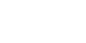 Vivo Live