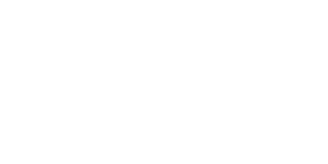 Wingo